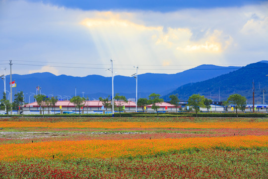 宁波北仑梅山保税区春晓街道