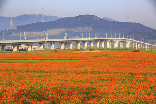 宁波北仑梅山保税区梅山大桥美景