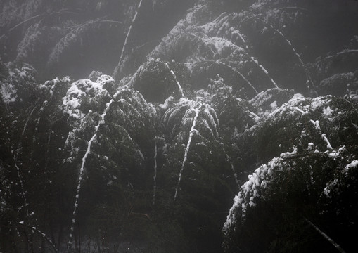 宁波奉化商量岗度假村雪景