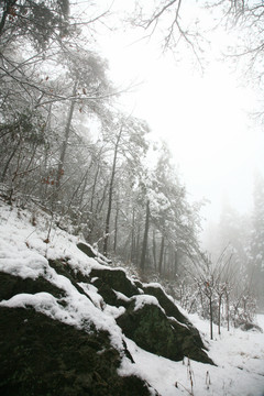 宁波奉化商量岗度假村雪景