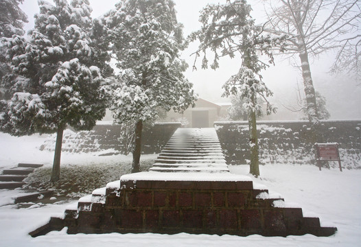 宁波奉化商量岗度假村雪景