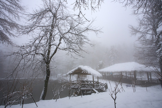 宁波奉化商量岗度假村雪景