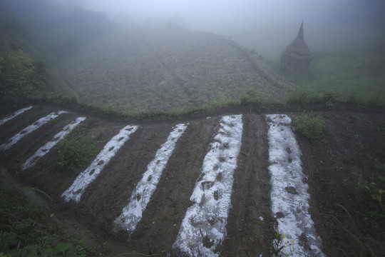 黄坛镇风景