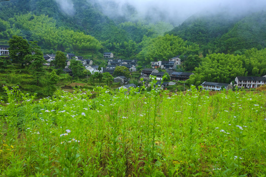 双峰国家森林公园