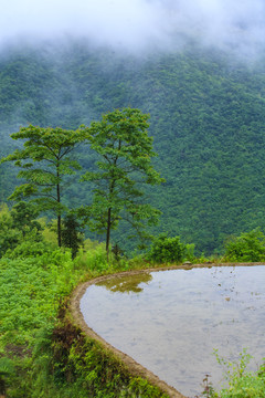 宁波宁海县黄坛县双峰国家森林公园美景