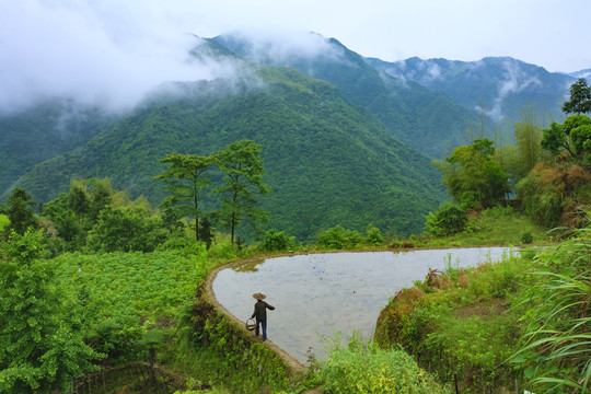 宁波宁海县黄坛县双峰国家森林公园美景