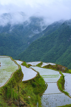 宁波宁海县黄坛县双峰国家森林公园美景