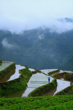 宁波宁海县黄坛县双峰国家森林公园美景