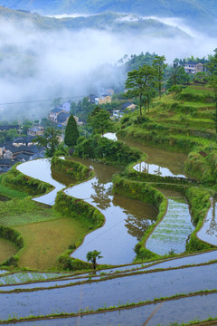 宁波宁海县黄坛县双峰国家森林公园美景