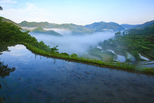 宁波宁海县黄坛县双峰国家森林公园美景