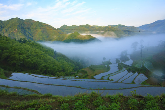 宁波宁海县黄坛县双峰国家森林公园美景