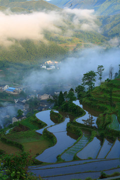 宁波宁海县黄坛县双峰国家森林公园美景