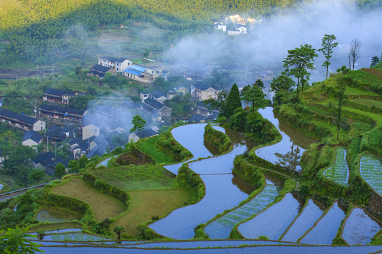 宁波宁海县黄坛县双峰国家森林公园美景