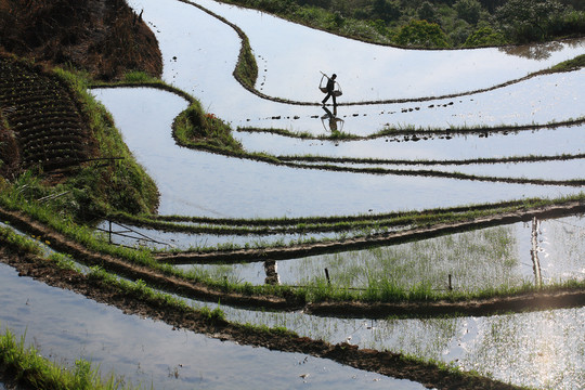 宁波宁海县黄坛县双峰国家森林公园美景