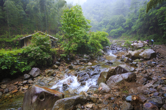 宁波宁海县黄坛县双峰国家森林公园美景