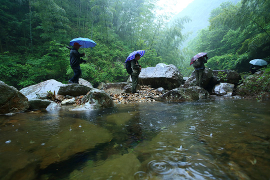 宁波宁海县黄坛县双峰国家森林公园美景