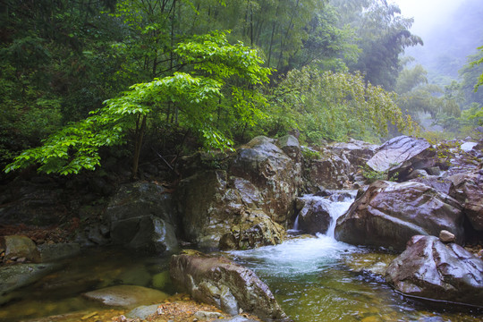 宁波宁海县黄坛县双峰国家森林公园美景