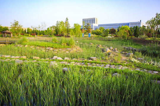 宁波慈溪九塘公园