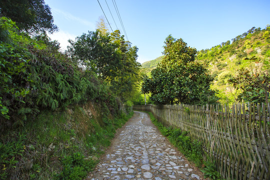 宁波慈溪国家登山健身步道风景