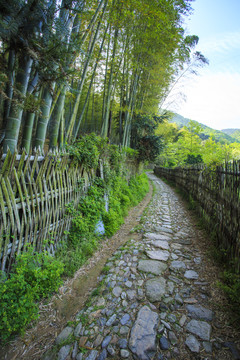 宁波慈溪国家登山健身步道风景