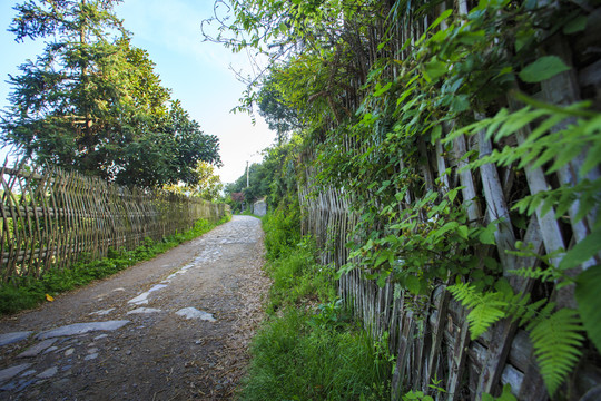 宁波慈溪国家登山健身步道风景