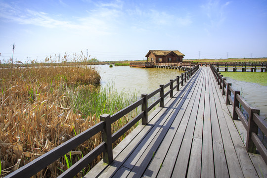 杭州湾湿地