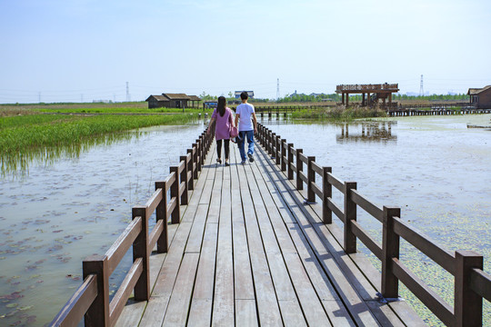 杭州湾湿地