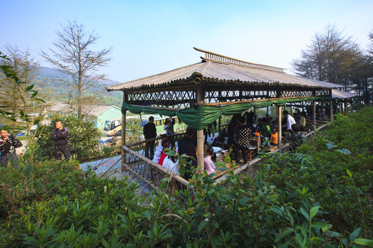 宁波慈溪达蓬山风景区美景