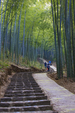 宁波北山游步道