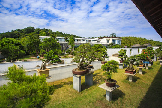 宁波江北慈城绿野山庄美景