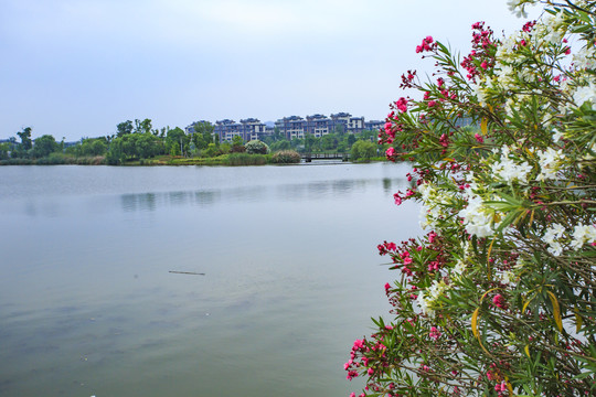 宁波江北慈城新城美景