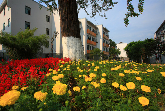 宁波江北慈湖中学景色