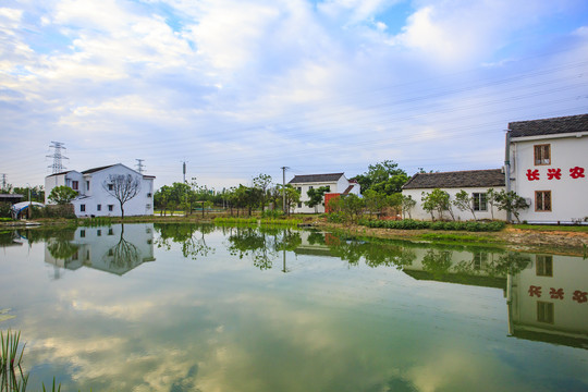 宁波江北荪湖美景