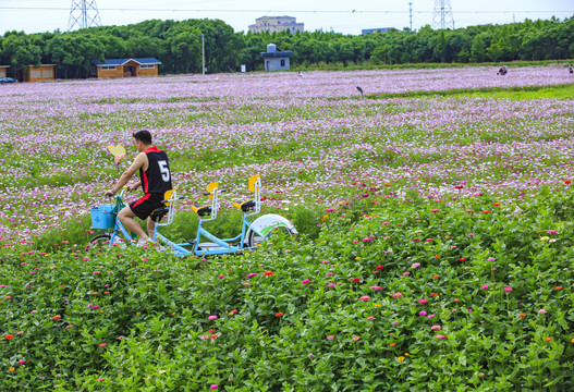 花海庭院