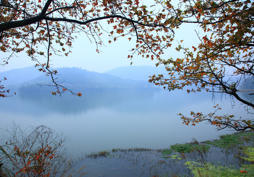 荪湖景区