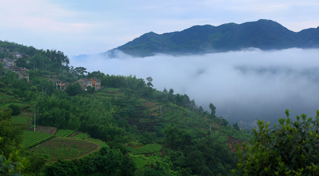 四明山森林公园