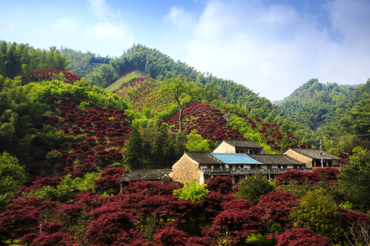 宁波海曙章水镇杖锡风景区风光