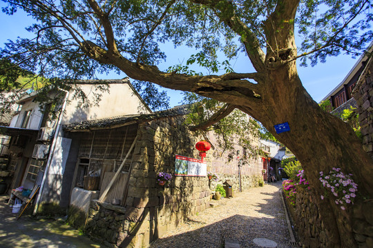 宁波海曙李家坑古村美景