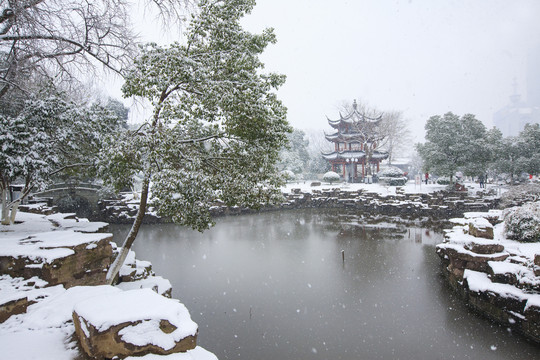 中山公园雪景