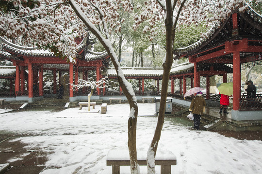 中山公园雪景