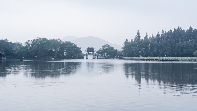 杭州西湖曲院风荷印象西湖