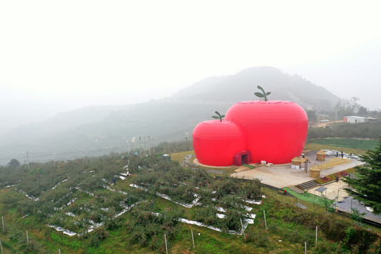 大苹果造型