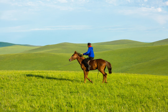 草原骑马的蒙古族少年