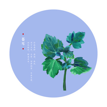 蒼耳