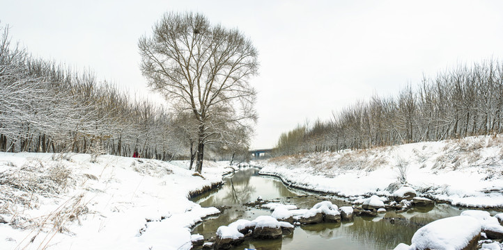 冬季雪景