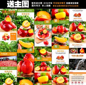 黃心油桃