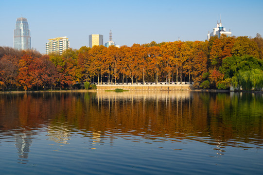 武汉东湖风景区深秋风光