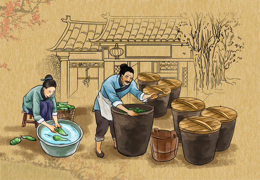 醬菜插畫
