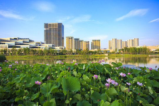 鄞州区东部新城