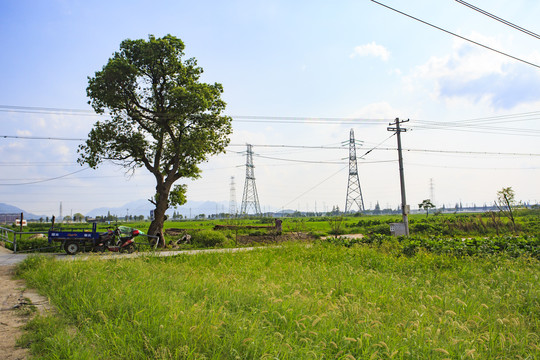 陈黄村